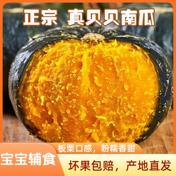 【正宗】真贝贝南瓜板栗口感老人孕妇宝宝辅食粉糯香甜产地直发包邮