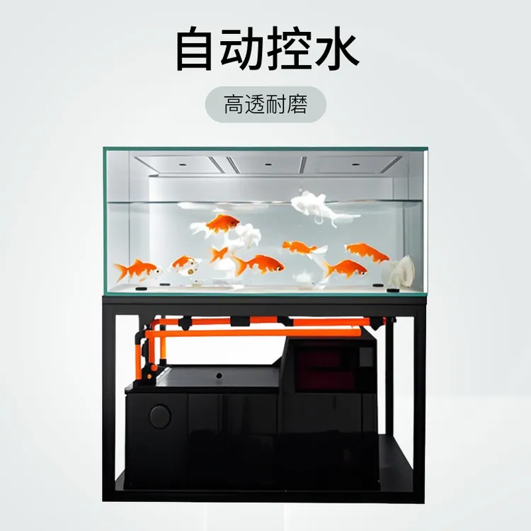 2025自由水位无管件金晶超白玻璃底滤生态龙鱼缸定制工业风
