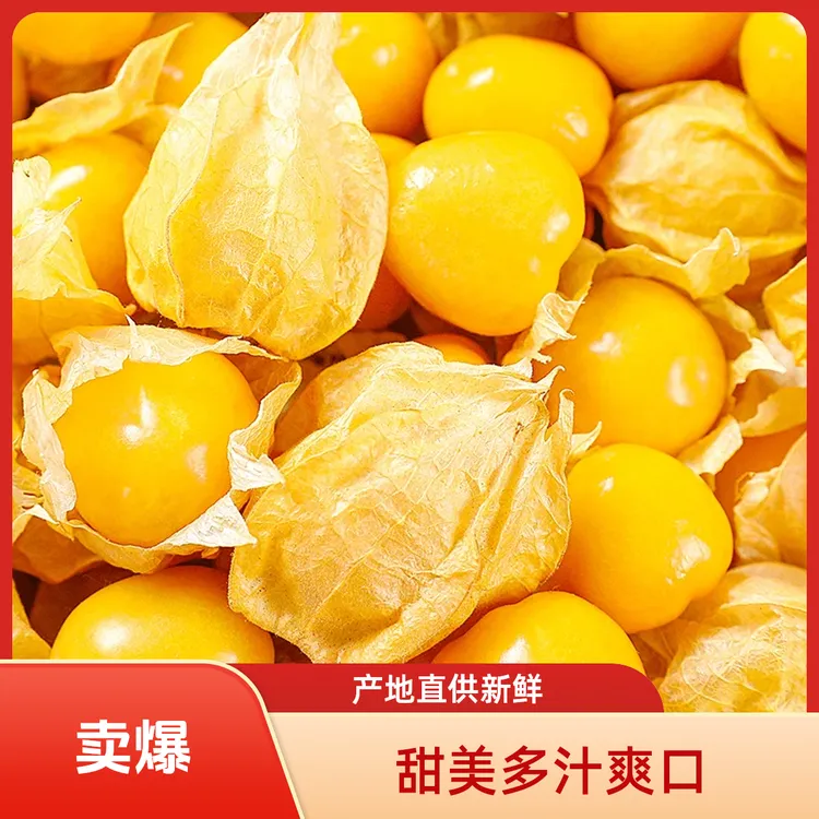 东北姑娘果2斤1斤0.5斤装新鲜采摘灯笼果清甜多汁当季稀有水果