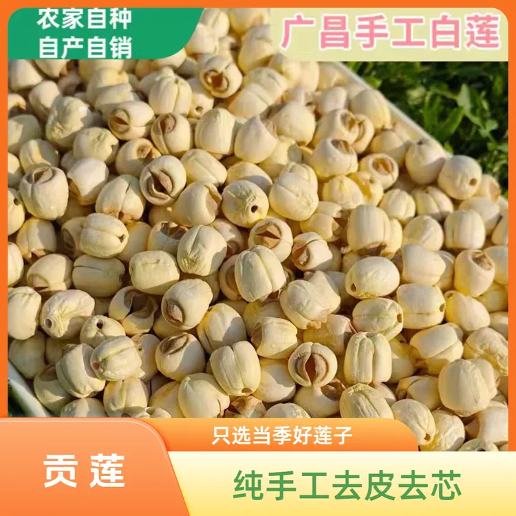 【小艺家】农家手工去芯莲子2025年新货新鲜莲子干货原色无硫粉糯香