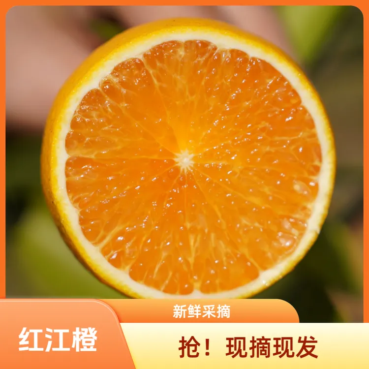 当季廉江红橙爆汁精选自然熟红江橙子优选大果