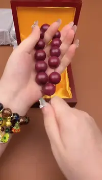 @@@@@@@@@@@@SC0