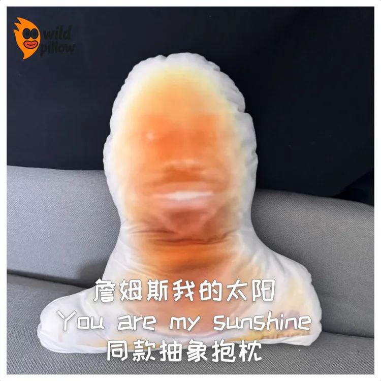 搞怪詹姆斯LBJ勒布朗我的太阳湖人NBAYouAreMySunshine篮球恶搞