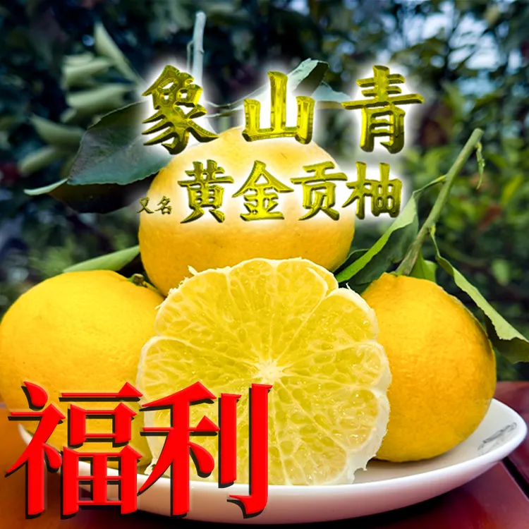 【福利】黄金贡柚象山青农家果正宗贡柚产地直发小柚子脆甜细嫩