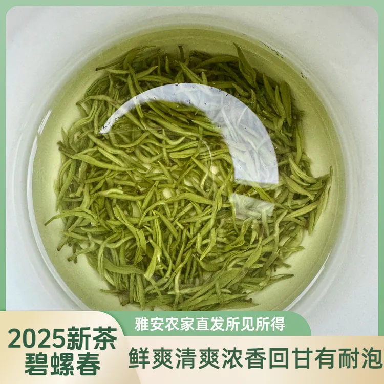 【碧螺春】明前春茶98%芽鲜爽回甘农家高山茶叶四川雅安蒙顶绿茶