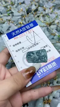 【闪购商品】翡翠颈饰未镶嵌天然A货翡翠
