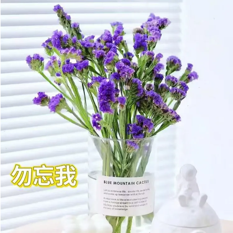 紫色勿忘我基地直发损坏包赔