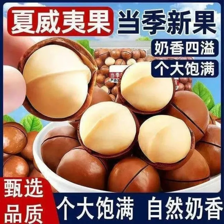 新货奶香味夏威夷果饱满酥脆坚果休闲零食赠送开口器
