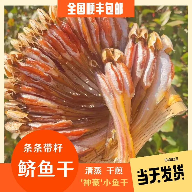 宁波特产凤尾鱼干 带籽鲚鱼干 烤籽鱼干 咸鱼干 蒸煮煎炸顺丰