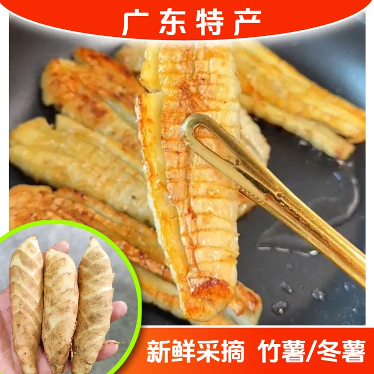 新鲜现挖广东竹薯特产冬薯冬粉薯香煎煲汤清蒸甜品火锅的食材