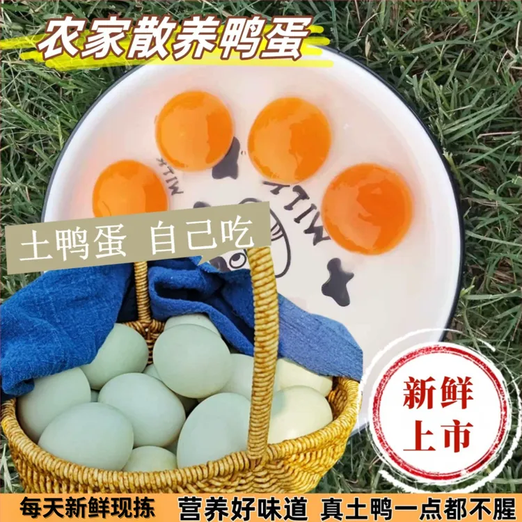 60-70g鸭蛋农家散养精选新鲜现捡活水养殖青壳蛋新鲜鸭蛋农村鸭蛋