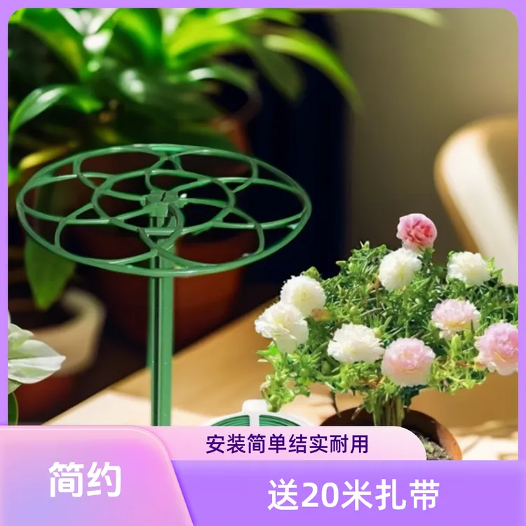 太阳花架子造型棒棒糖支架蟹爪兰铁线莲爬藤架防倒伏多层植物固定
