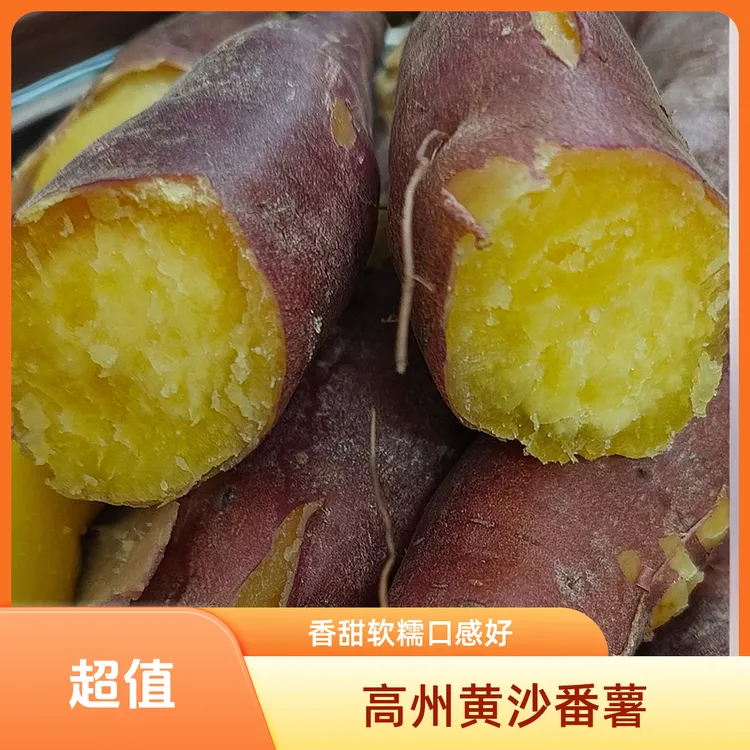 正宗广东高州香甜黄沙番薯黄肉高山红薯