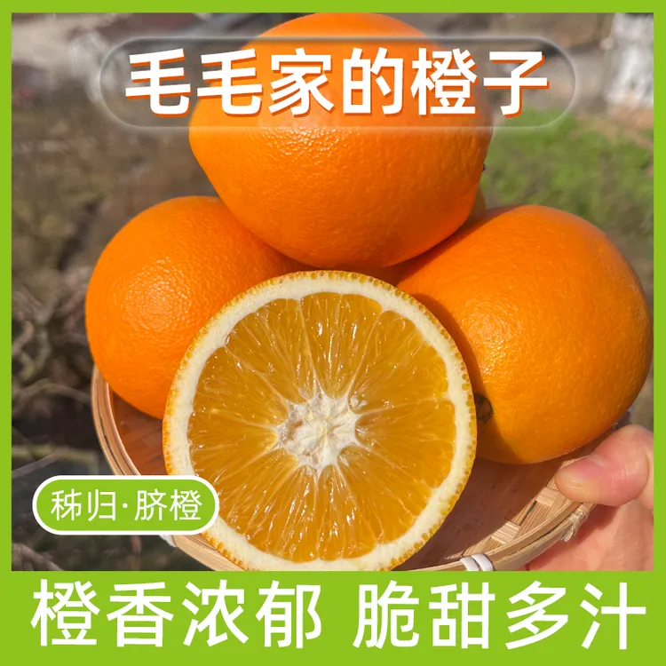 【脆甜】毛毛家的毛毛果当季现摘脐橙口感脆嫩清甜爽口