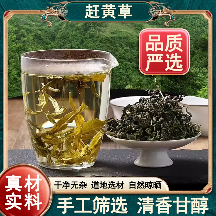  【正品保障】高山地道赶黄草嫩芽 古蔺正宗赶黄茶 泡水冲茶