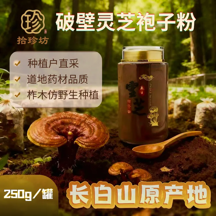 东北长白山仿野生柞木种植破壁灵芝孢子粉