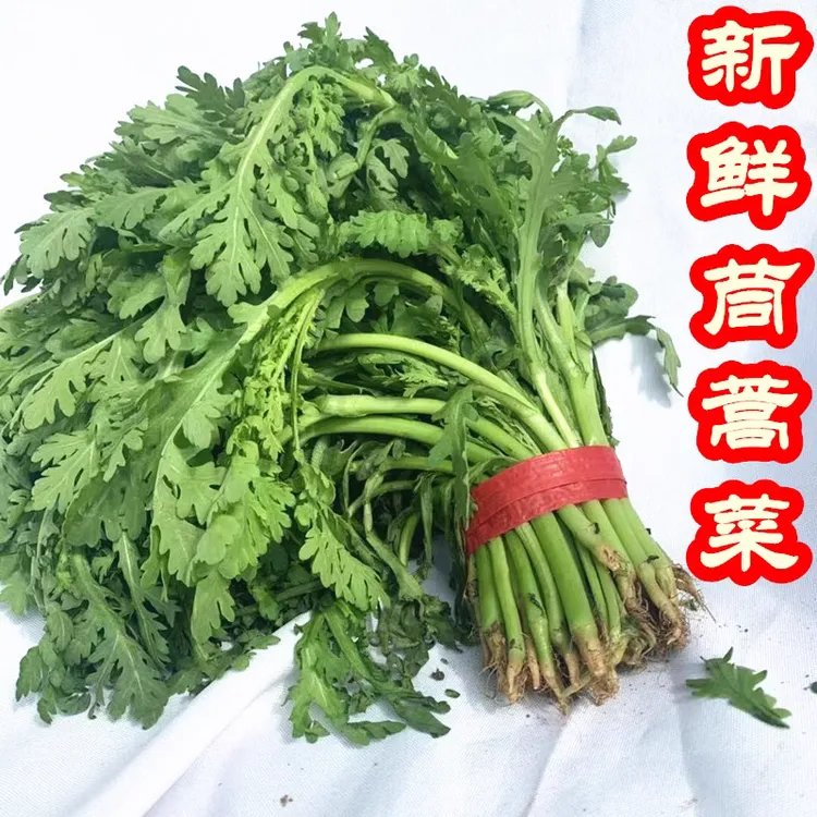霜冻茼蒿菜新鲜蔬菜农家带根茼蒿大叶茼蒿菜皇帝菜火锅青菜现挖