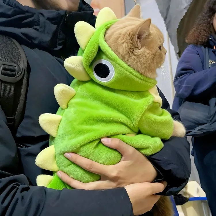 宠物衣服猫咪连体衣四条腿秋冬保暖英短布偶渐层狗狗搞怪恐龙衣服