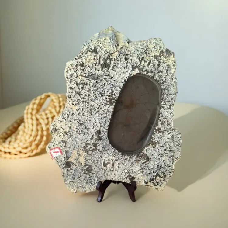 天然化石燕子石原石砚台 三叶虫化石茶盘四大名砚