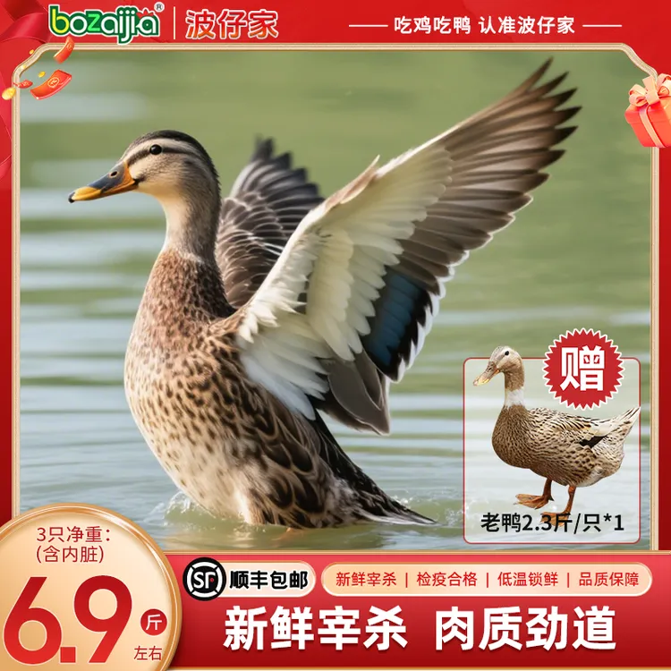 bozaijia波仔家【荆江老麻鸭】散养老鸭新鲜农家土鸭现杀真空保鲜