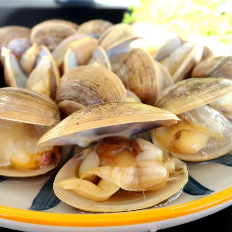 东港野生大黄蚬子95%净沙率各别有细沙微张口各别碎壳正常微掉秤