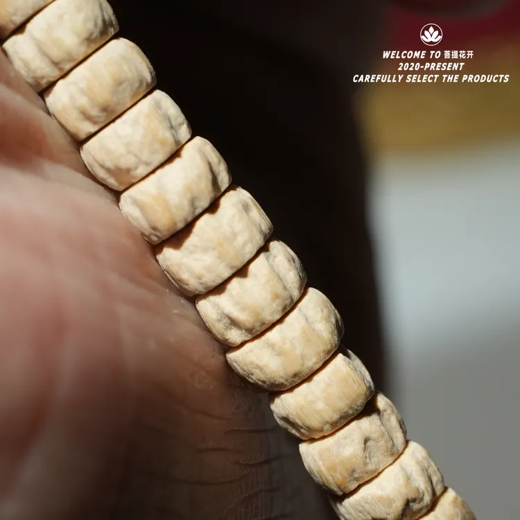 5+mm大尺寸热振柏香籽精工高货满鬼眼药片