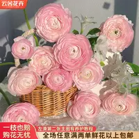  【云舍花卉】【樱花粉】洋牡丹 全场任意满两单及以上鲜花包邮发货