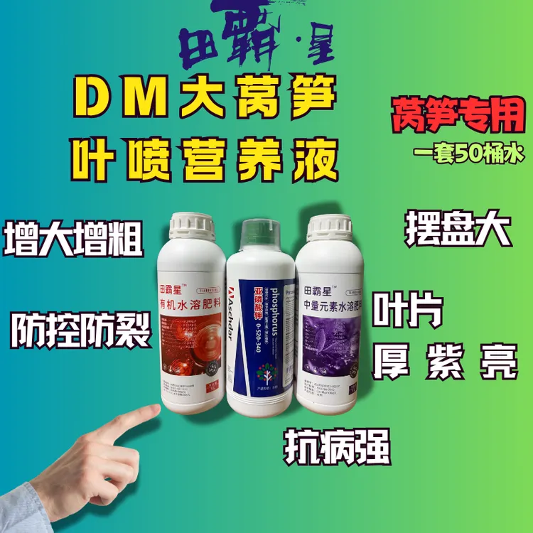 莴笋营养专用方案田霸星DM大莴笋防裂防空延后开花增大增粗增品质