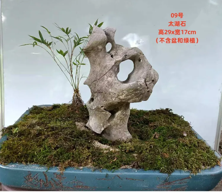 太湖石龟纹石千层石吸水石驳岸石假山石盆景石天然造景石