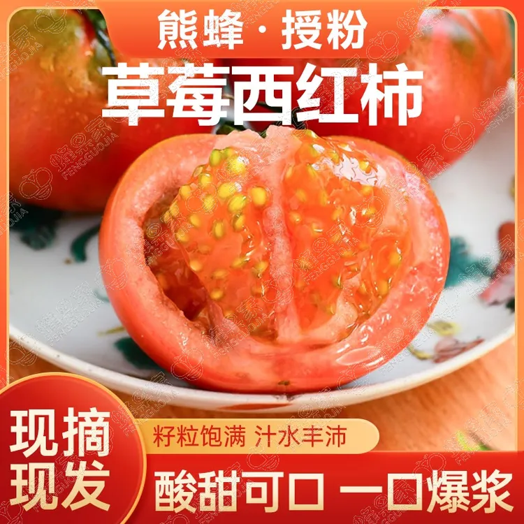 蜂果家草莓西红柿生吃铁皮西红柿酸甜非转基因自然熟有籽水果番茄