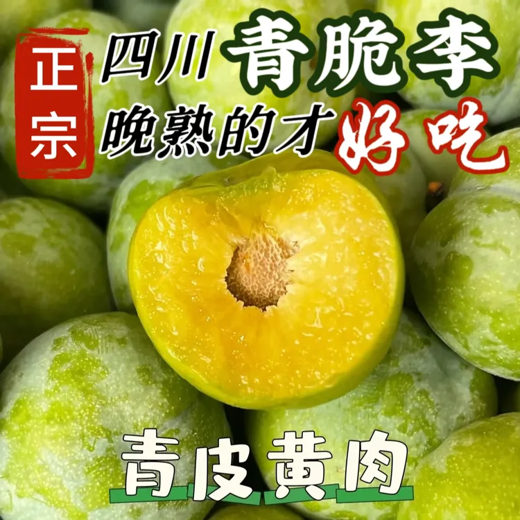 【顺丰快递】四川青脆李脱骨李子现摘现发新鲜水果半边红脱骨脆李子