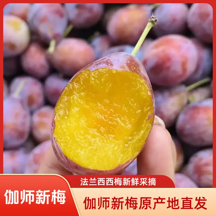 【喀什达人专属】伽师新梅 法兰西西梅 鲜果 原产地发货 限喀什地区