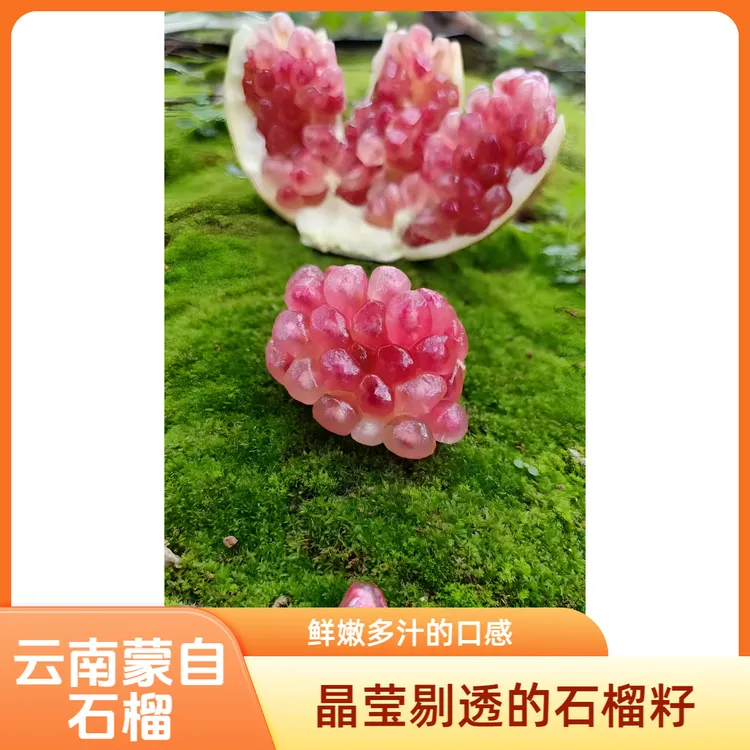 【农家自卖】云南红河蒙自甜石榴软籽老树观颜新鲜水果原产地现摘