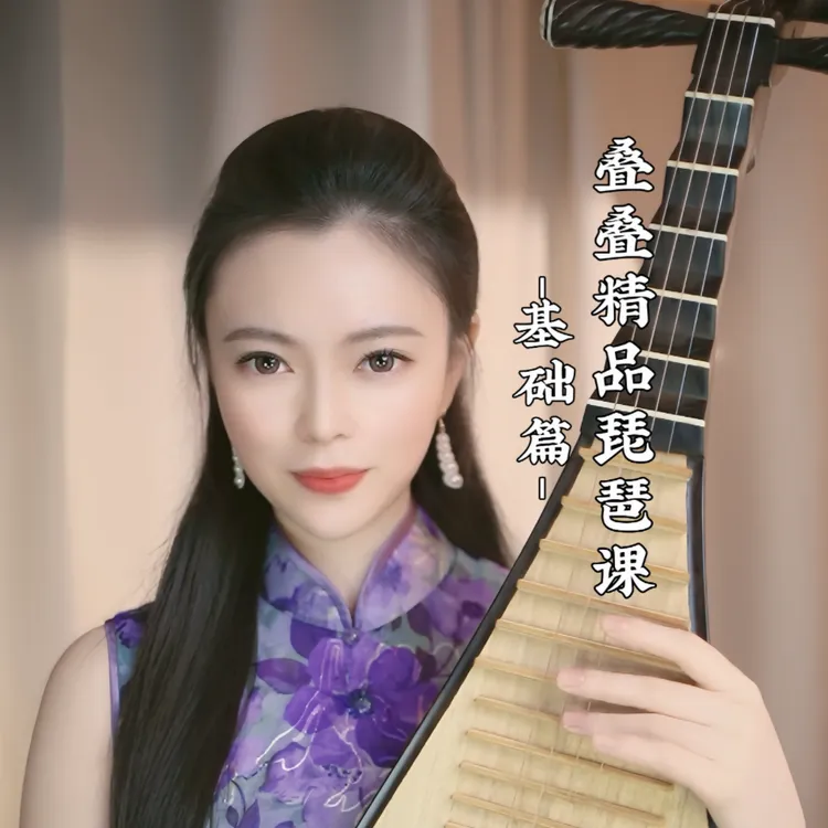 琵琶精品琵琶课（快速入门基础篇4节）（留意短信解锁课程）