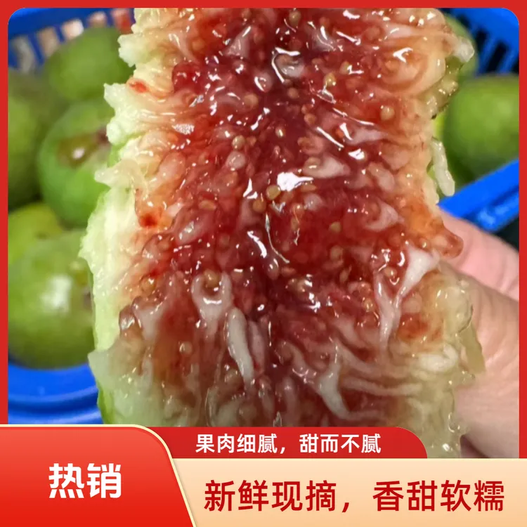 采鲜婆山东威海青皮无花果新鲜应季树上熟软糯香甜顺丰空运