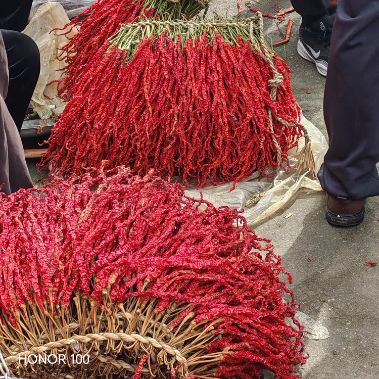 新货贵州毕节大方凯里干辣椒香辣皱皮椒干货农家线椒鸡爪辣红海椒