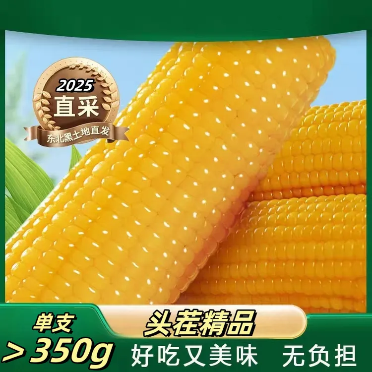 【试吃三根7-8斤】2025年东北玉米头茬新鲜玉米350-400克*10支一箱