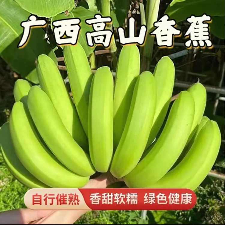 【粉丝浮利】广西高山甜香蕉产地直发孕妇当季新鲜水果批发5斤现摘
