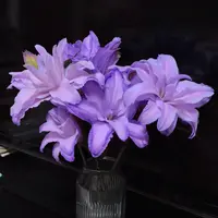 【云舍花卉】【紫色水晶】重瓣百合【艾莎吸色】任意满两单及以上包邮