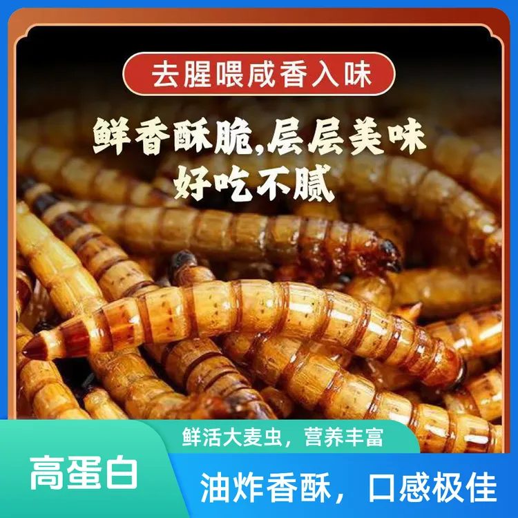 大麦虫即食油炸烘烤炸虫子五香麻辣方便新鲜高蛋白小零食昆虫美食