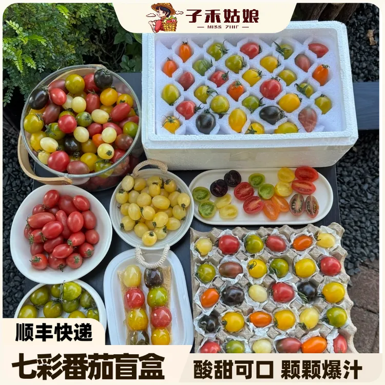 【顺丰包邮】新鲜采摘七彩混合小番茄圣女果酸甜可口、颗颗爆汁