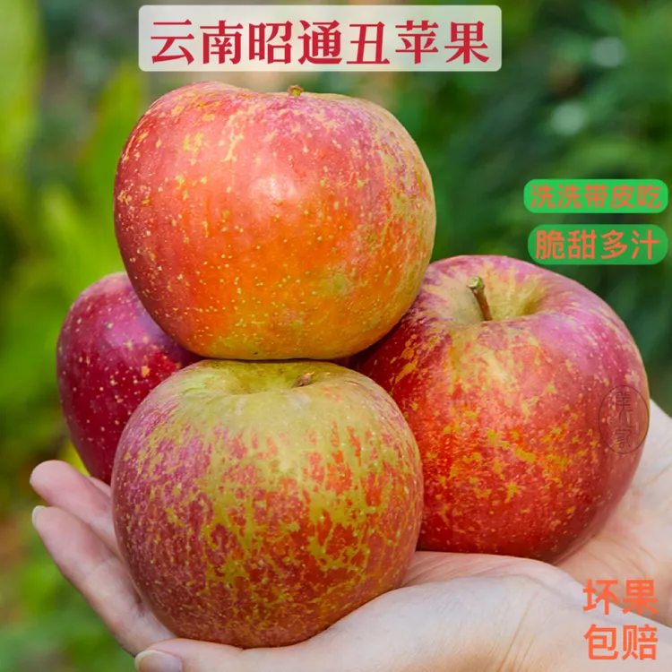 云南昭通原产地农家冰糖心丑苹果原生态现摘新鲜脆甜山区