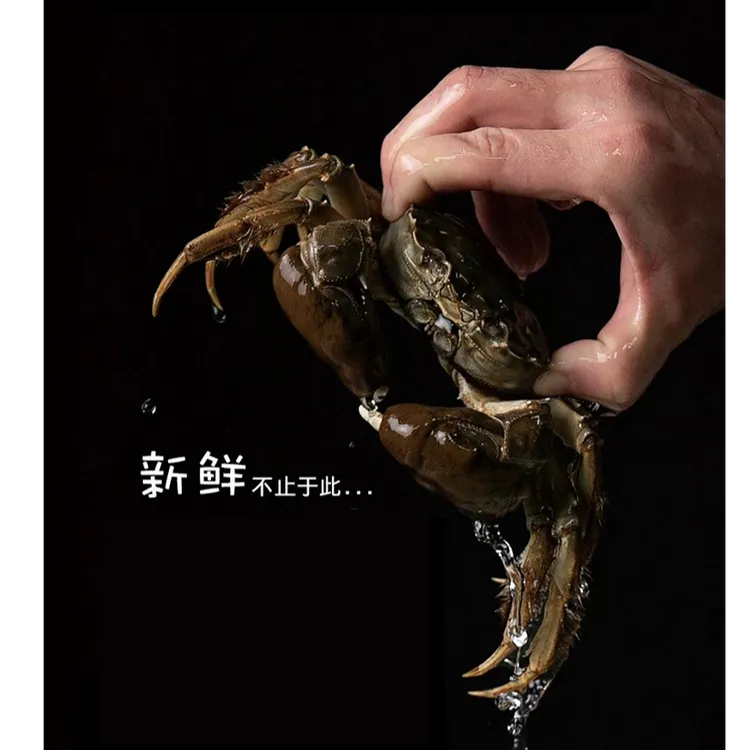 RSRDDY活蟹苏州大闸蟹 3两公蟹 2两母蟹各3只 鲜活螃蟹顺丰现发