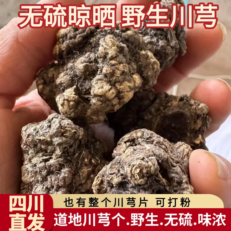 四川直发产区道地野生川芎个子川芎片农家自然晒干无硫四物汤