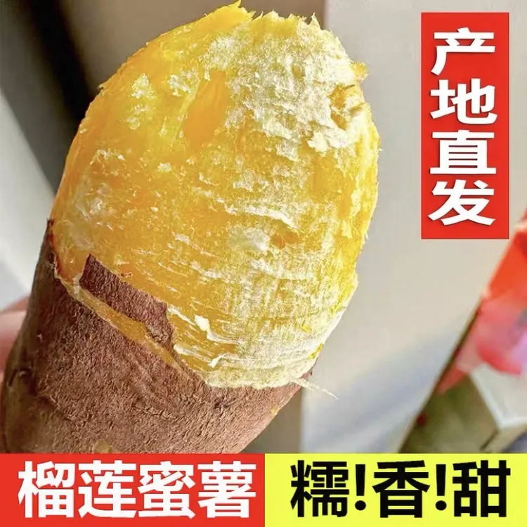 【拍四斤送一斤】正宗云南榴莲蜜薯红薯新鲜现挖软糯香甜地瓜番薯