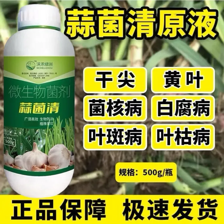 蒜菌清大蒜专用微生物菌剂生根养根补充营养干尖黄叶抽苔水溶肥料
