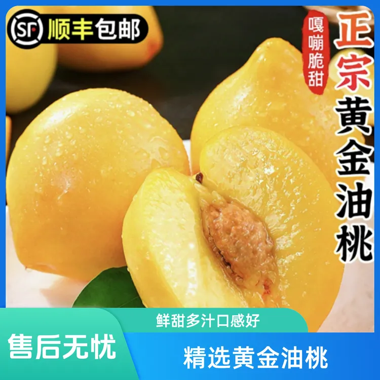 黄金蜜黄金油桃黄油桃2斤3斤5斤当季新鲜水果孕妇桃子整箱包邮