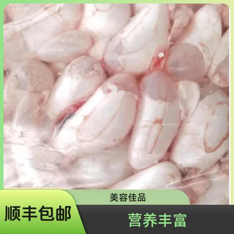 顺丰包邮厂家直销速冻白鲢花莲鲤鱼鱼鳔鱼肚鱼肚鱼泡新鲜批发