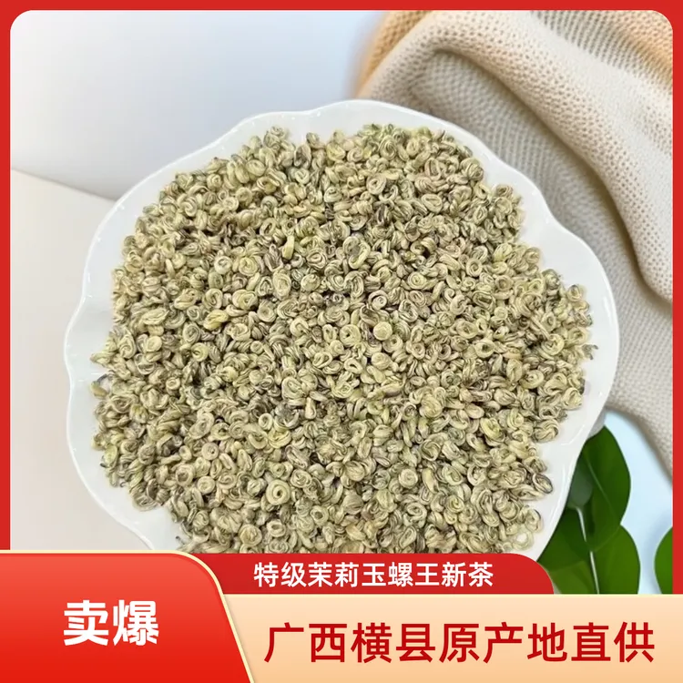 广西横县全嫩芽茉莉玉螺王浓香型新茶茉莉花茶冷泡茶