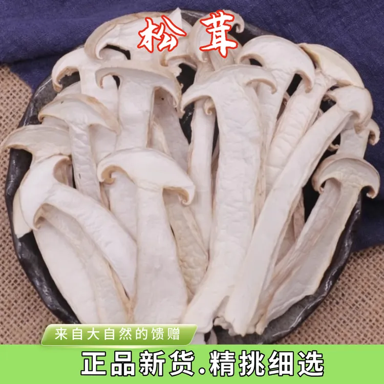 松茸100g-250g云南香格里拉松茸干片营养美味炖汤佳品山珍菌菇